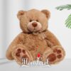 Peluche
